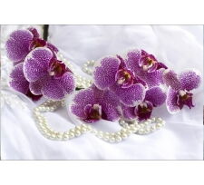 Отдушка "Шелк и орхидея"